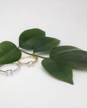 ANILLO LIZ