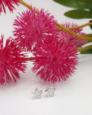 PENDIENTES ESTRELLA