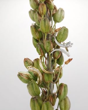 ANILLO SNAKE