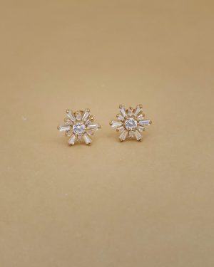 PENDIENTES PARIS